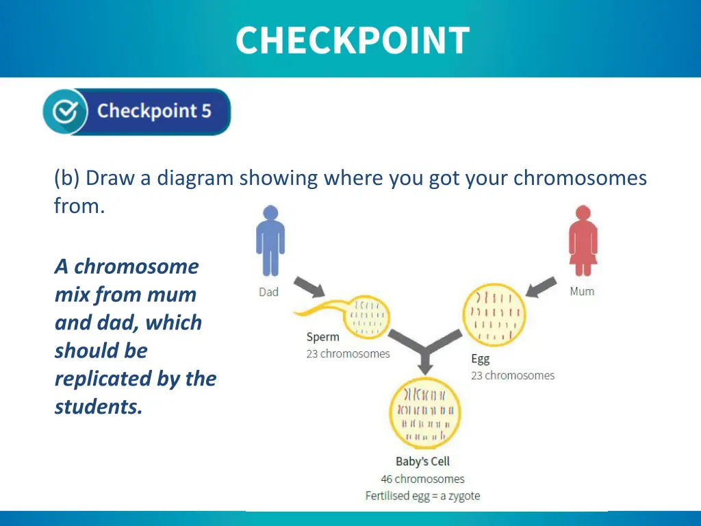 b draw a diagram showing where you got your