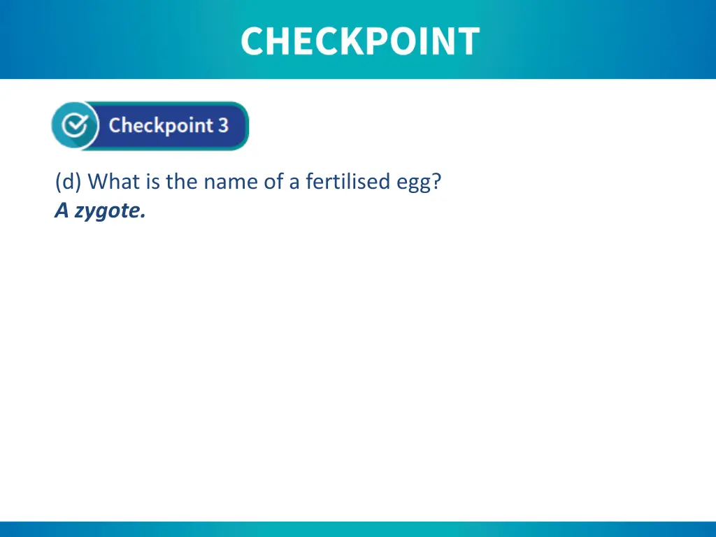 d what is the name of a fertilised egg a zygote