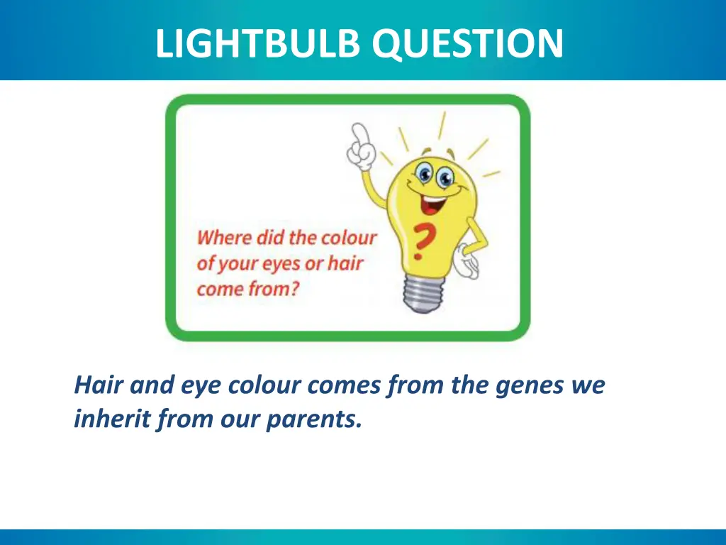 lightbulb question 1