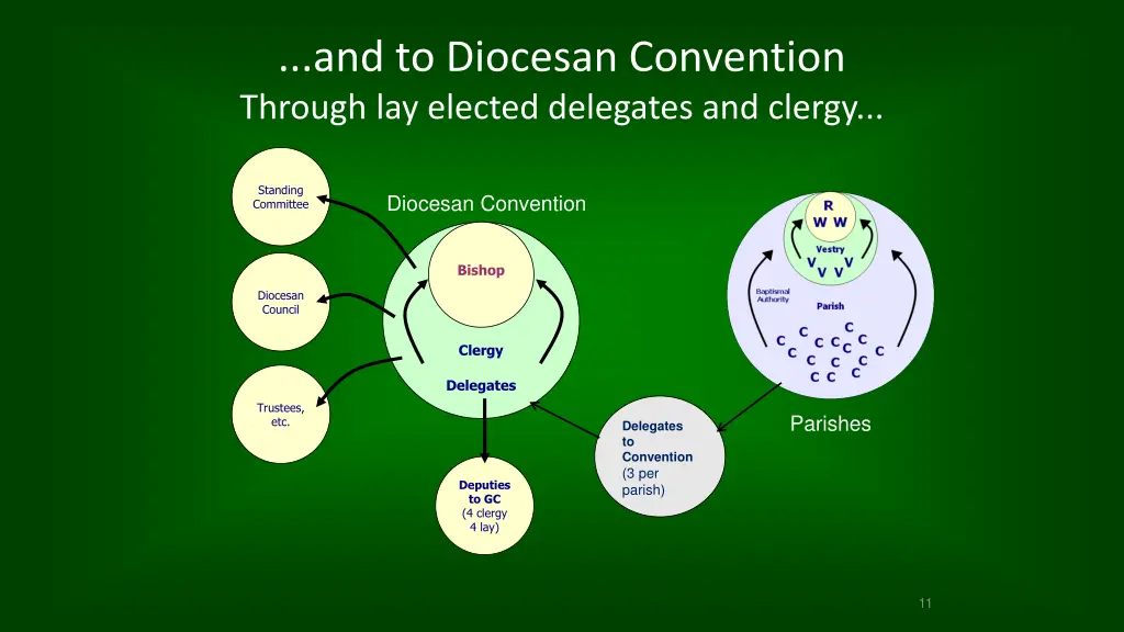 and to diocesan convention through lay elected