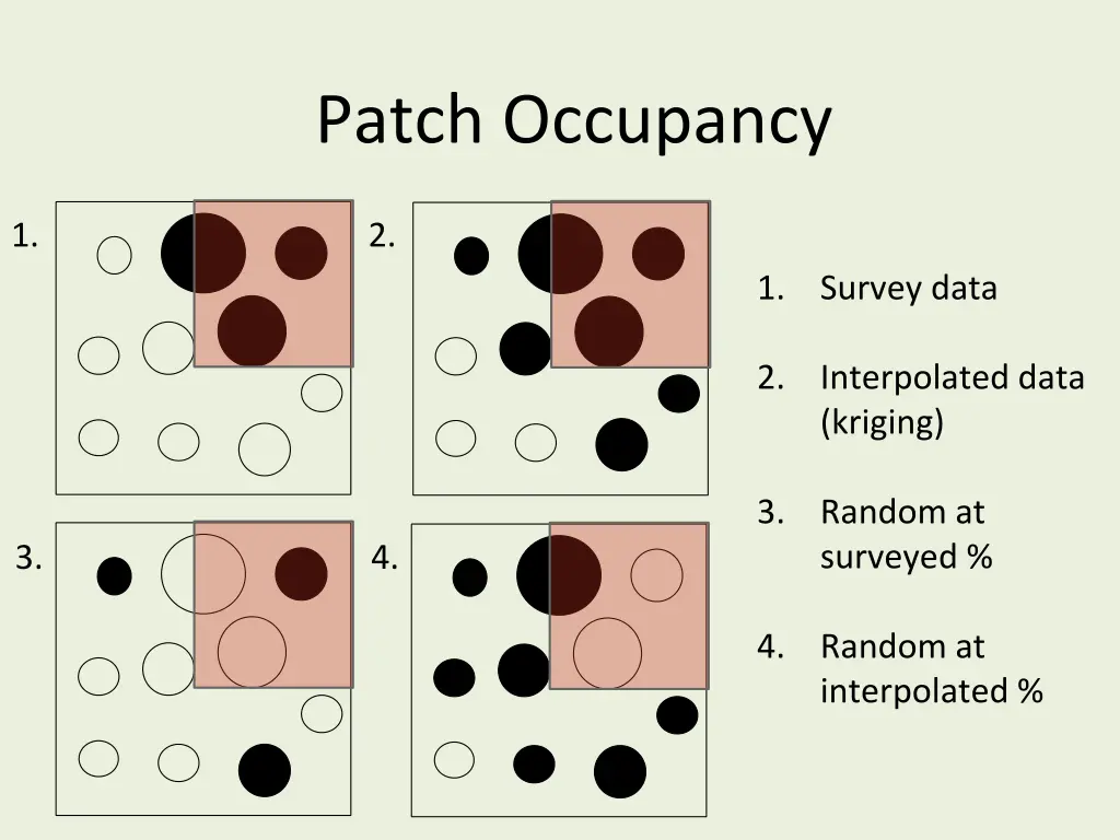 patch occupancy