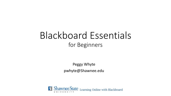 blackboard essentials for beginners