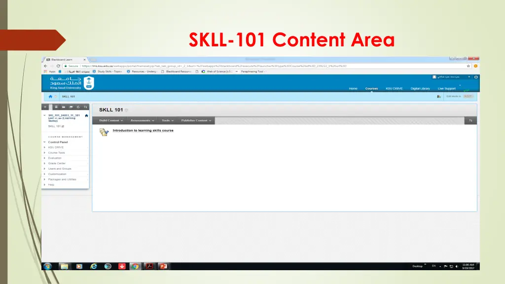 skll 101 content area