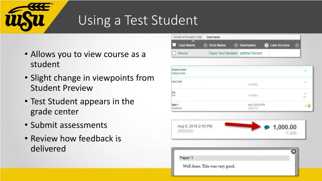 using a test student