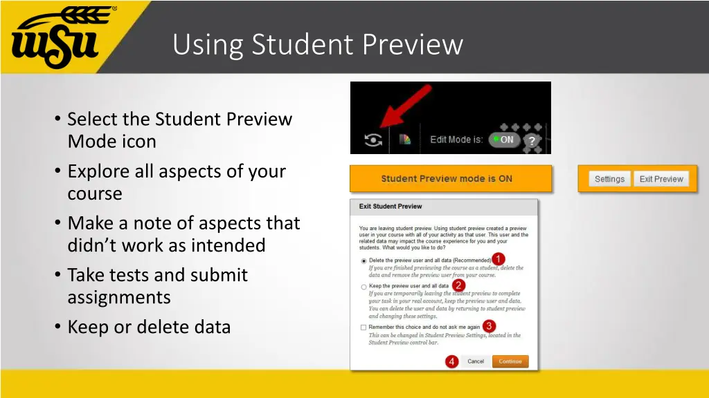 using student preview