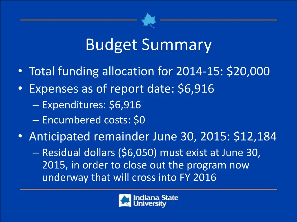 budget summary