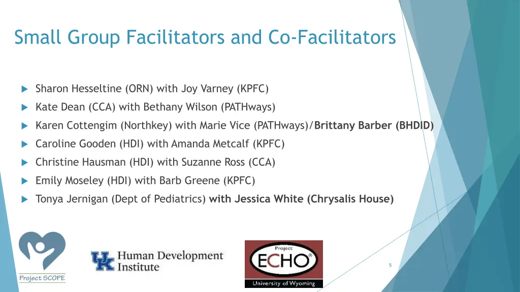 small group facilitators and co facilitators