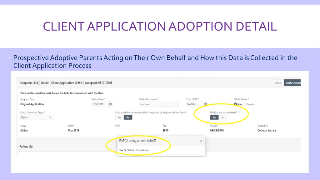 client application adoption detail