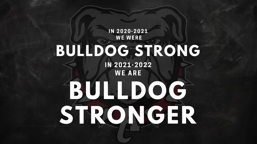 bulldog strong