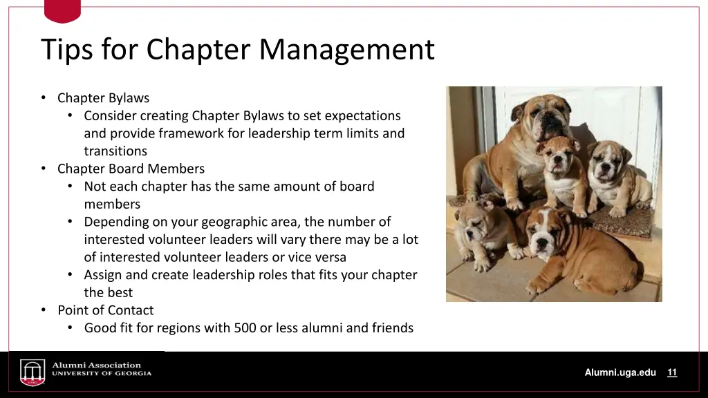 tips for chapter management