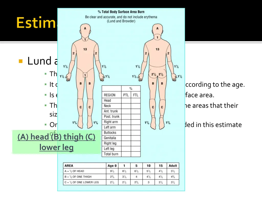 lund an browder chart the best and most accurate