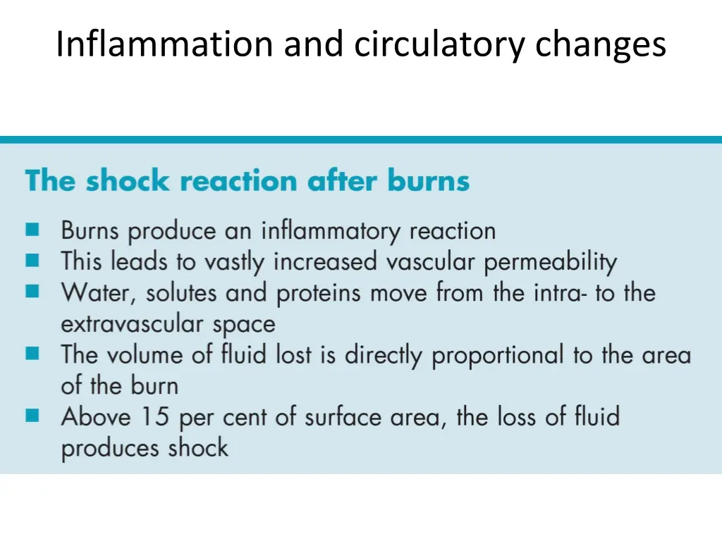 inflammation and circulatory changes