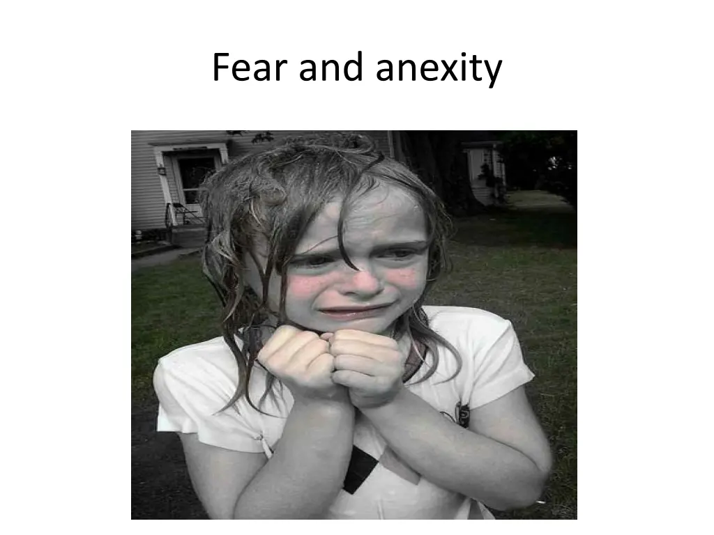 fear and anexity