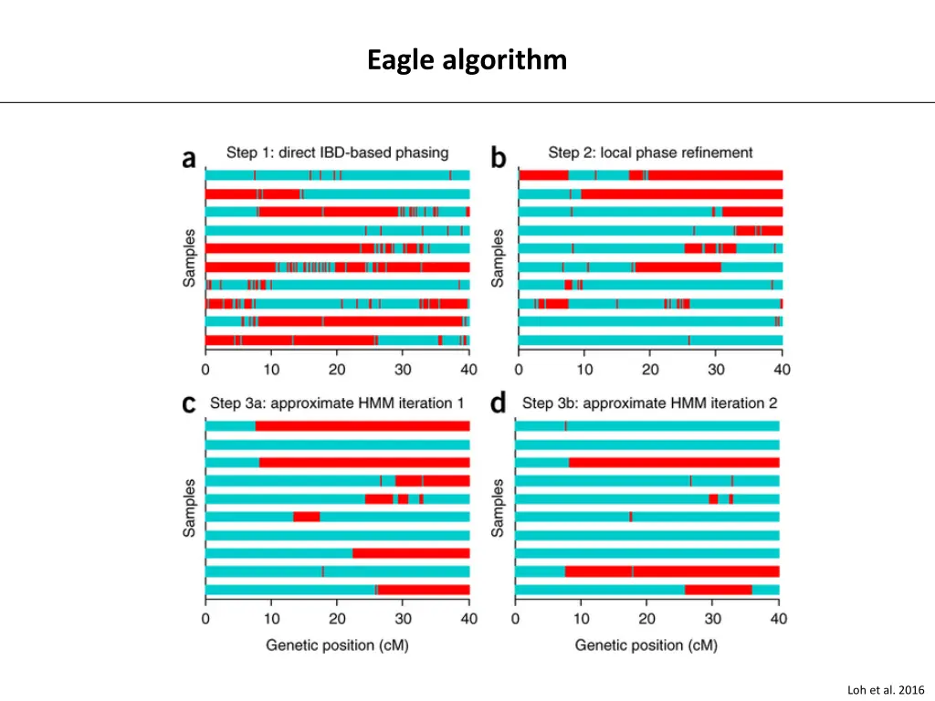 eagle algorithm