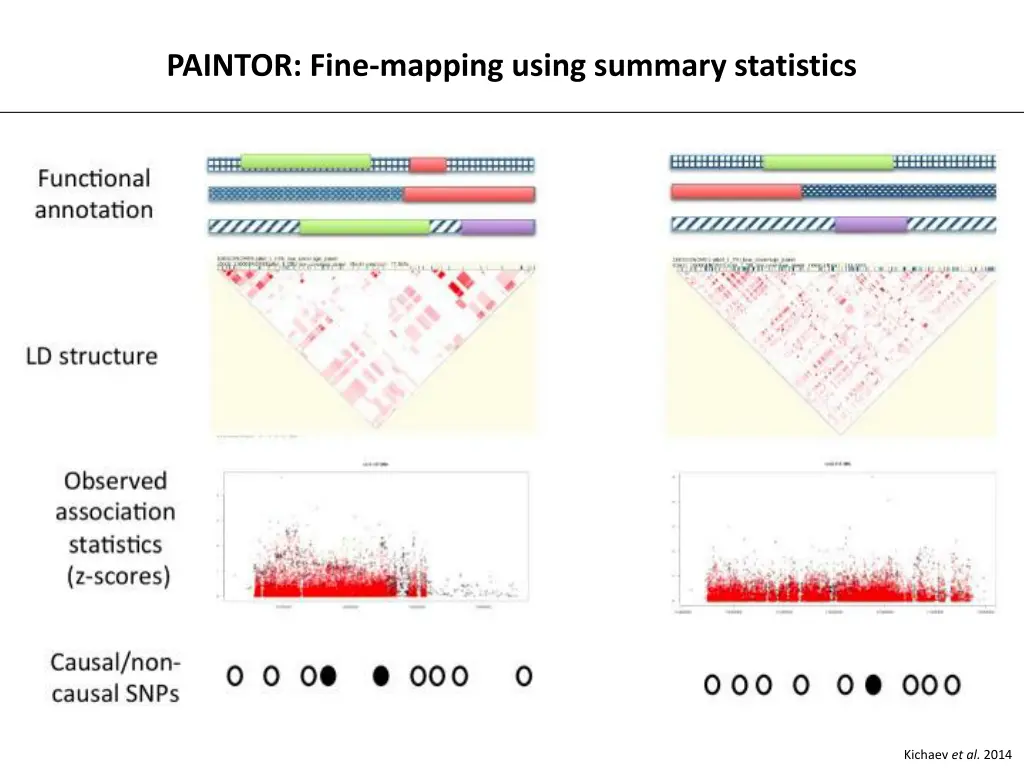 paintor fine mapping using summary statistics