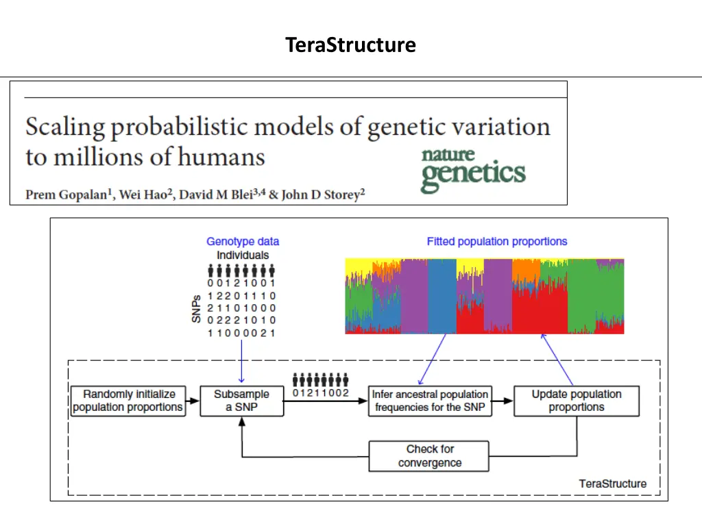 terastructure