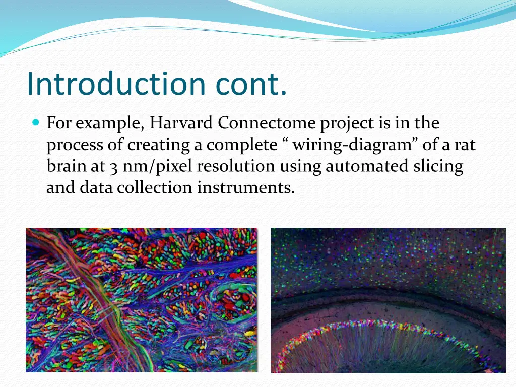 introduction cont