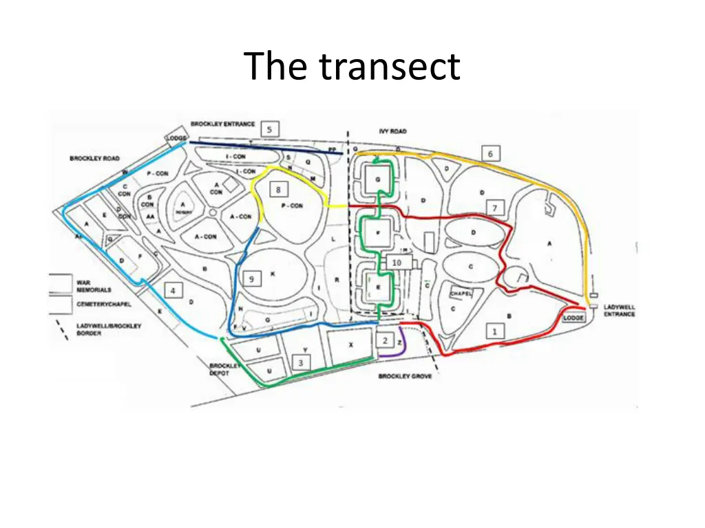 the transect