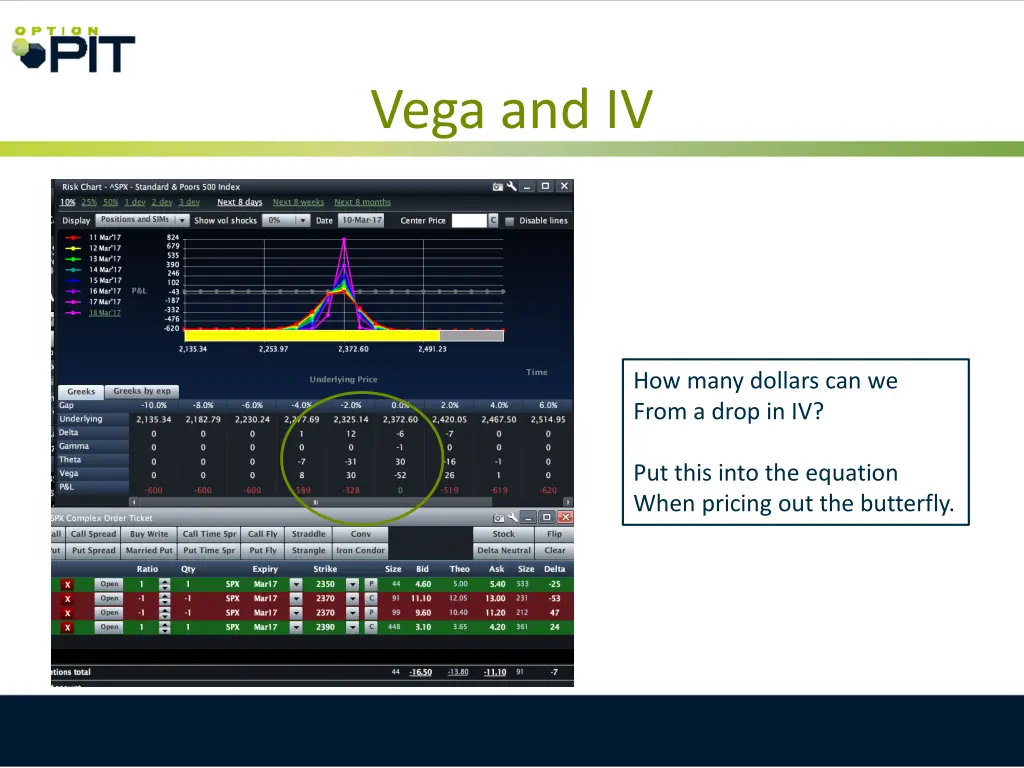 vega and iv