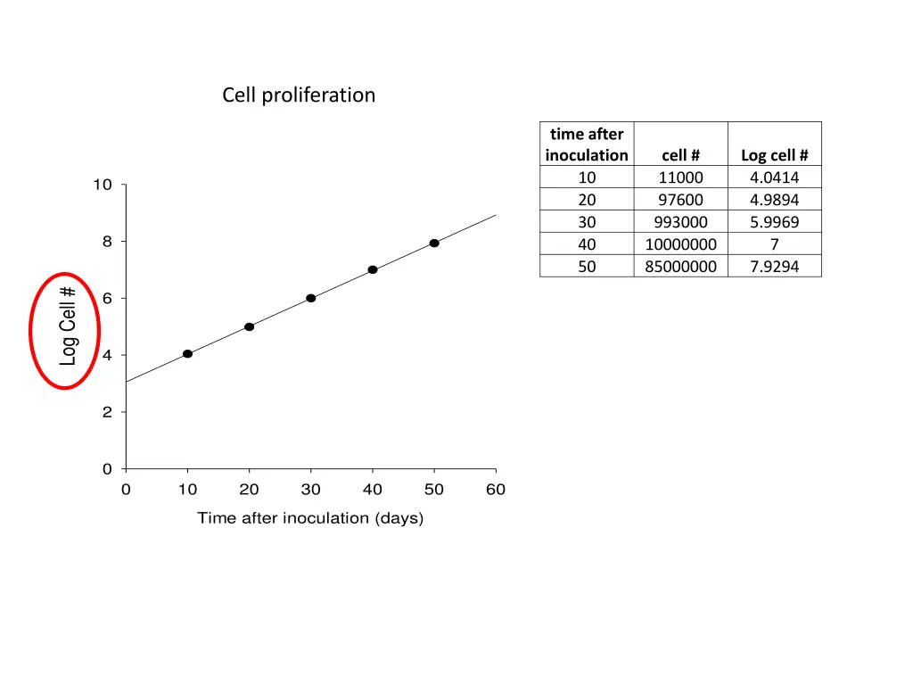 cell proliferation