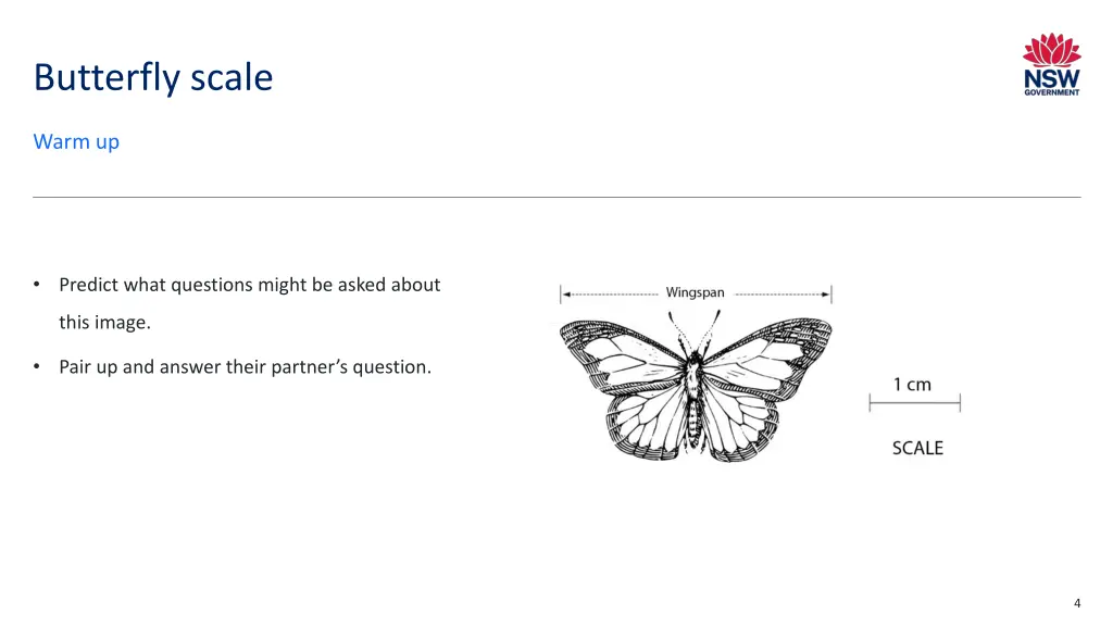 butterfly scale