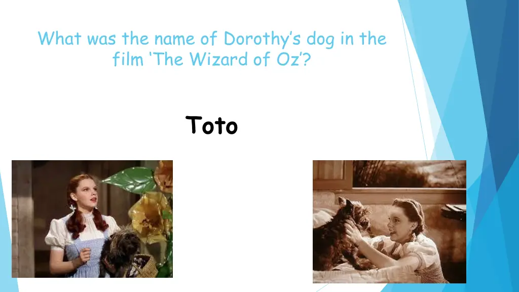 what was the name of dorothy s dog in the film