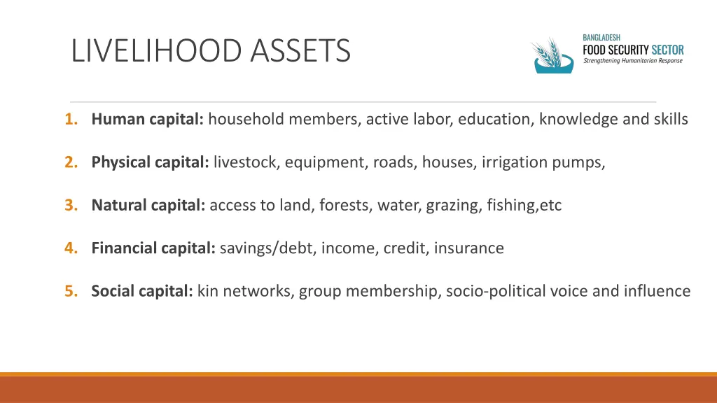 livelihood assets