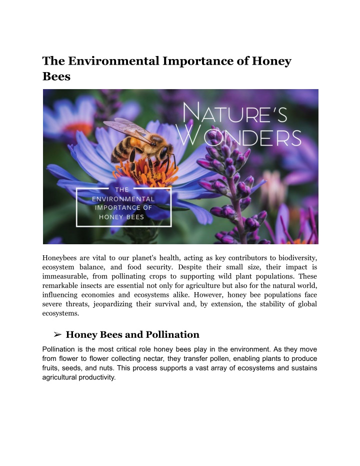 the environmental importance of honey bees