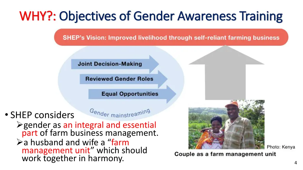 why why objectives of objectives of gender a