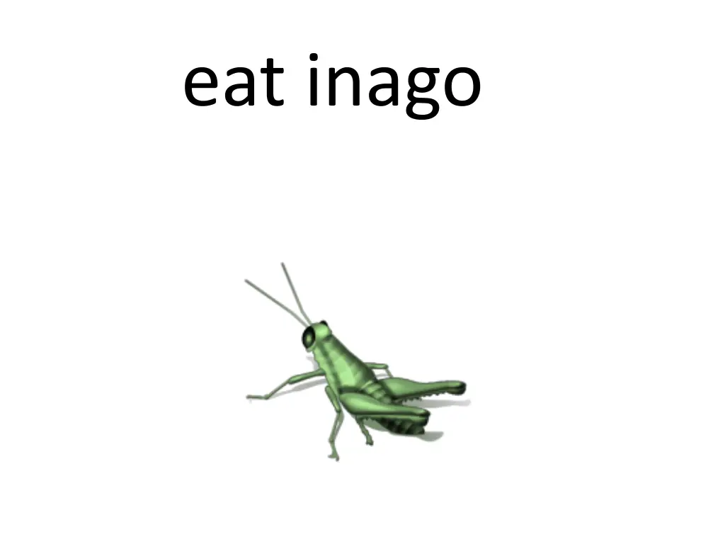 eat inago