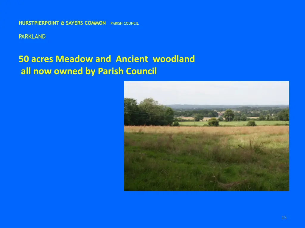 hurstpierpoint sayers common parish council 14