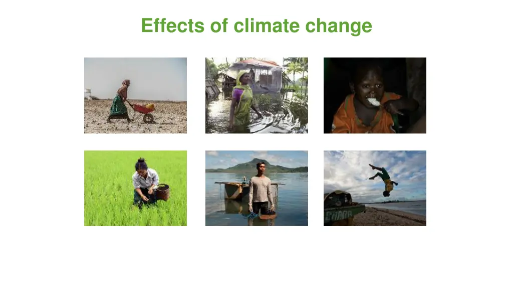 effects of climate change