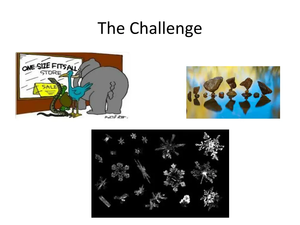 the challenge