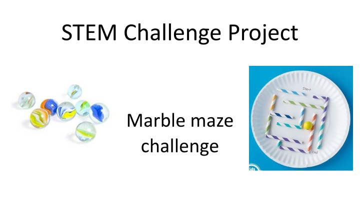 stem challenge project