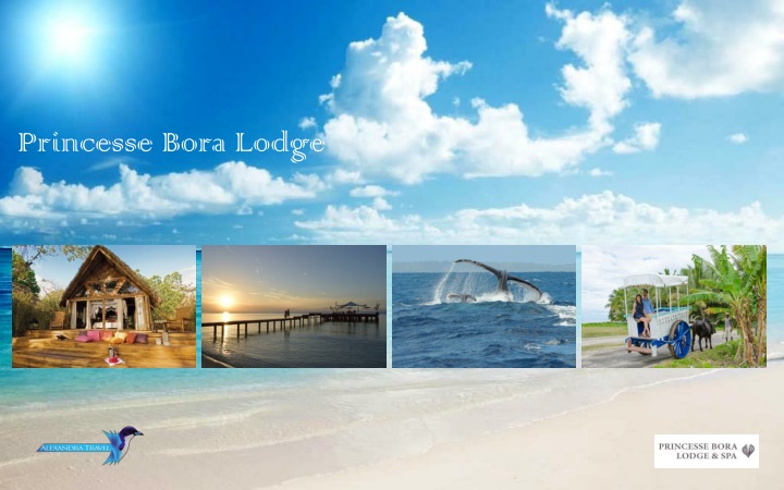 princesse bora lodge