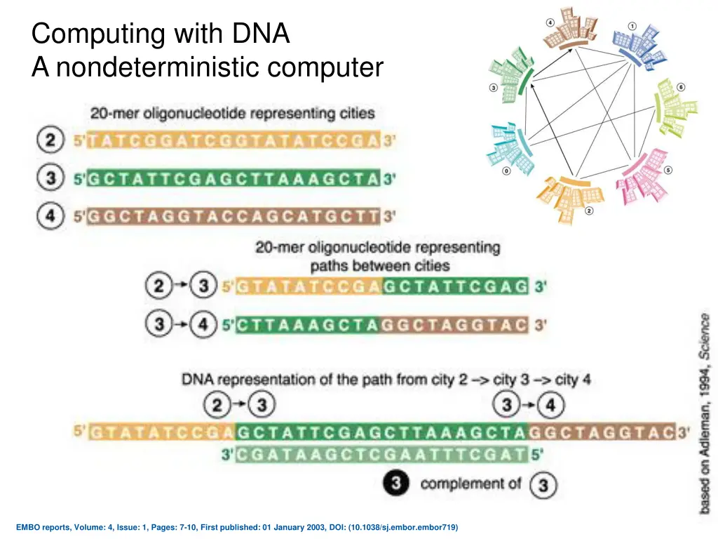 computing with dna a nondeterministic computer