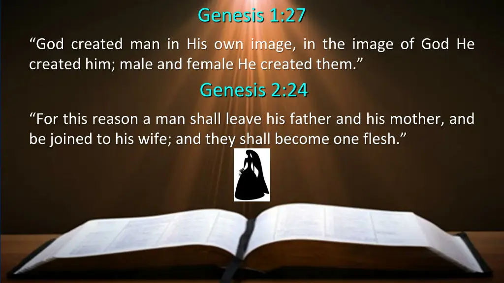 genesis 1 27