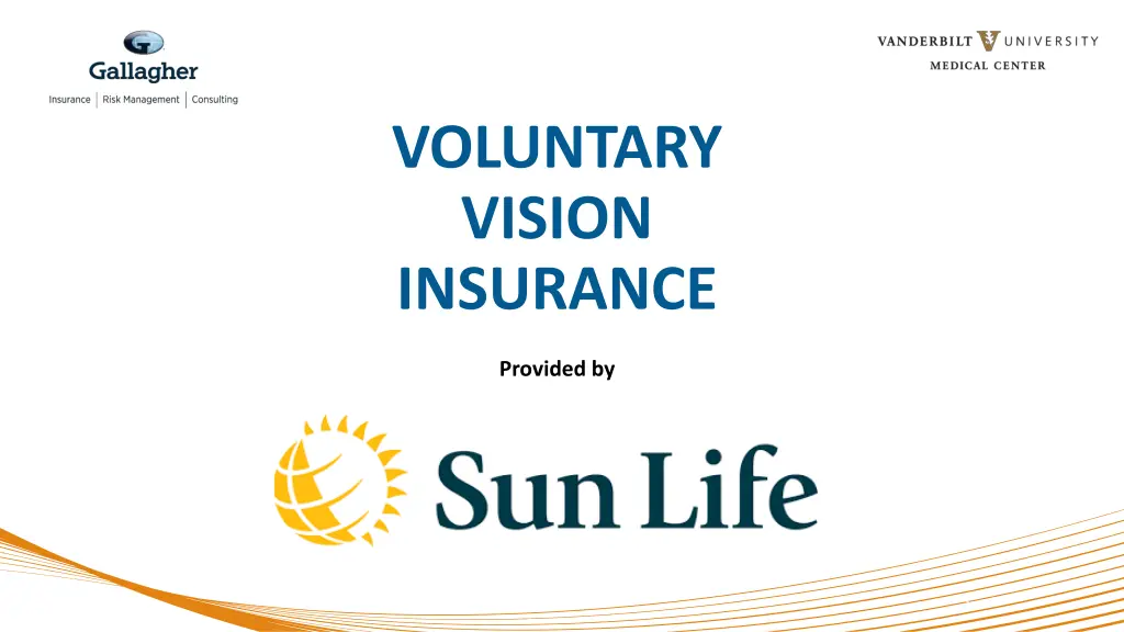 voluntary vision insurance