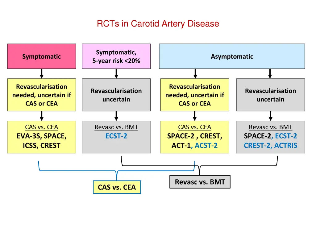 rcts in carotid artery disease 6