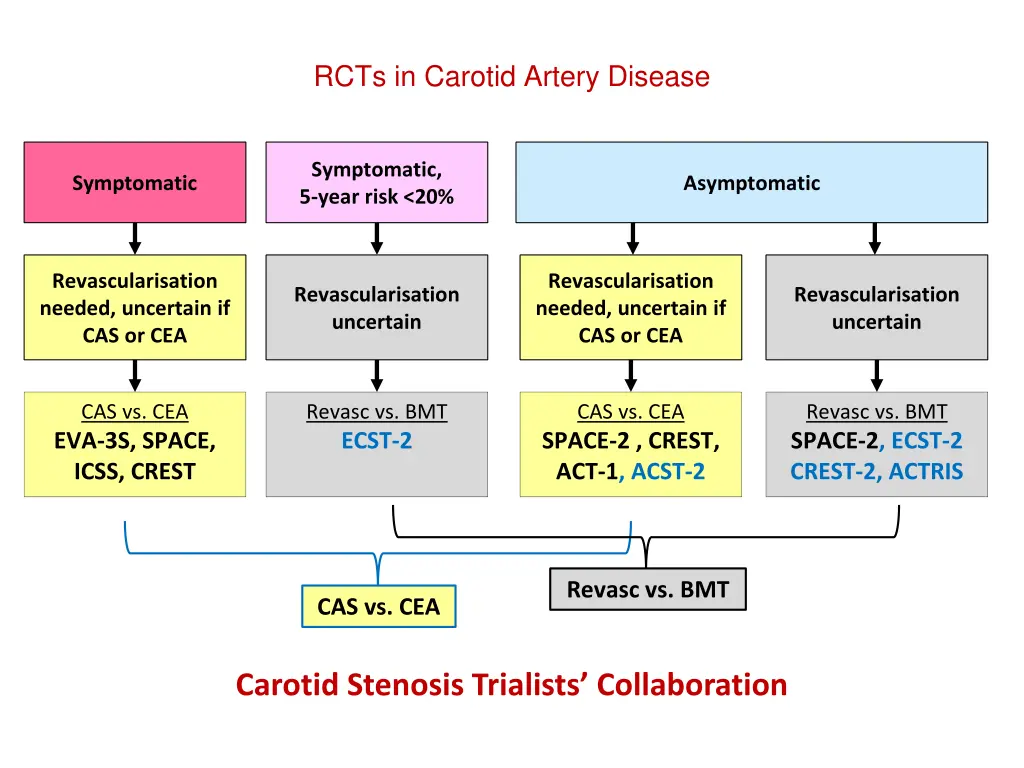 rcts in carotid artery disease 7