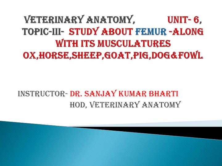 instructor dr sanjay kumar bharti hod veterinary