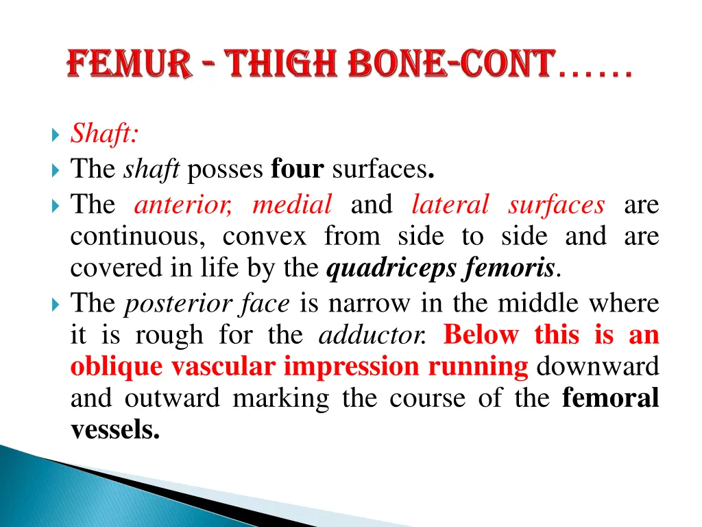 shaft the shaft posses four surfaces the anterior