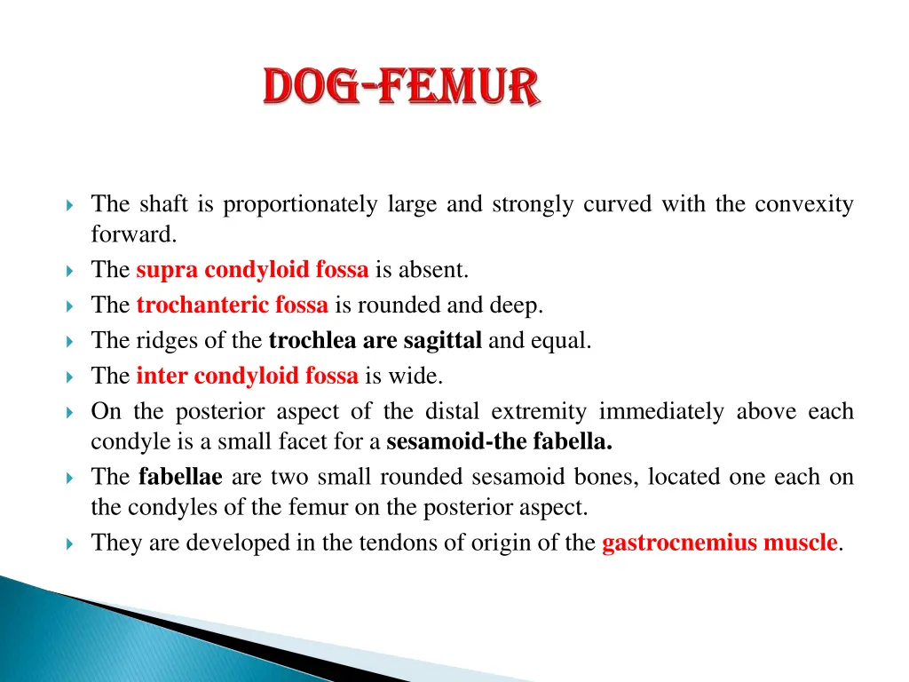 the shaft is proportionately large and strongly