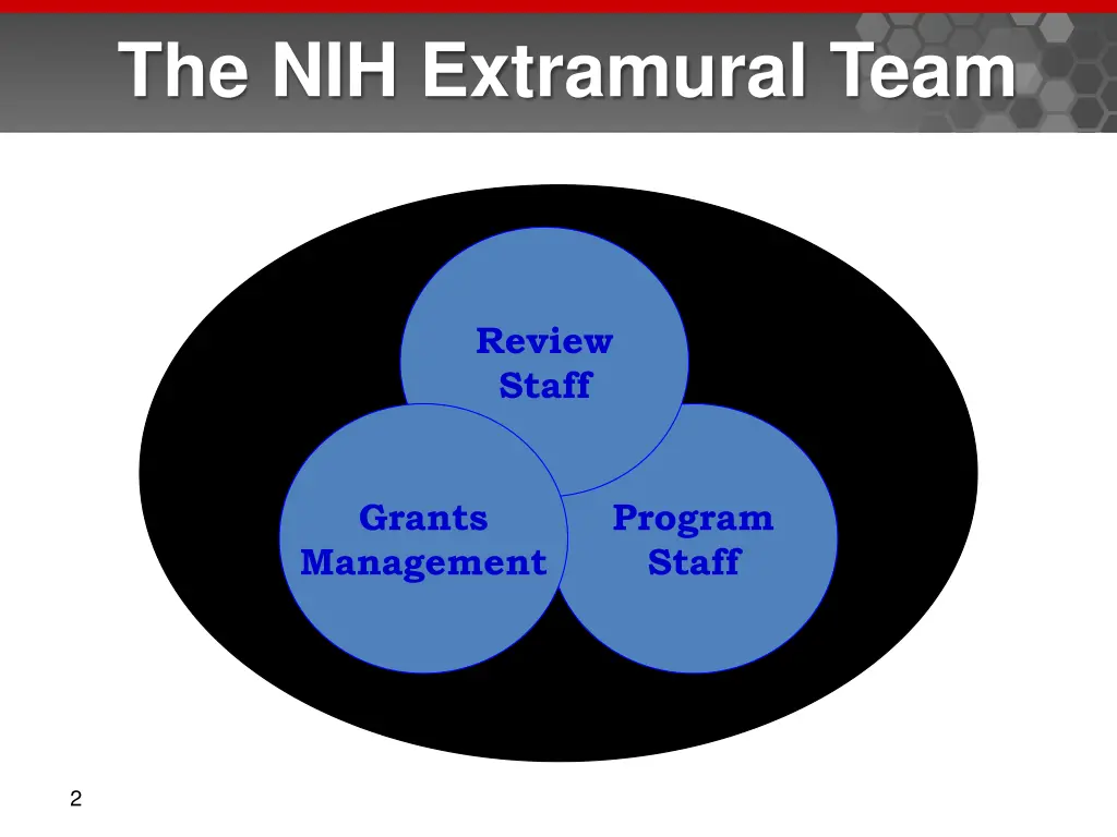 the nih extramural team