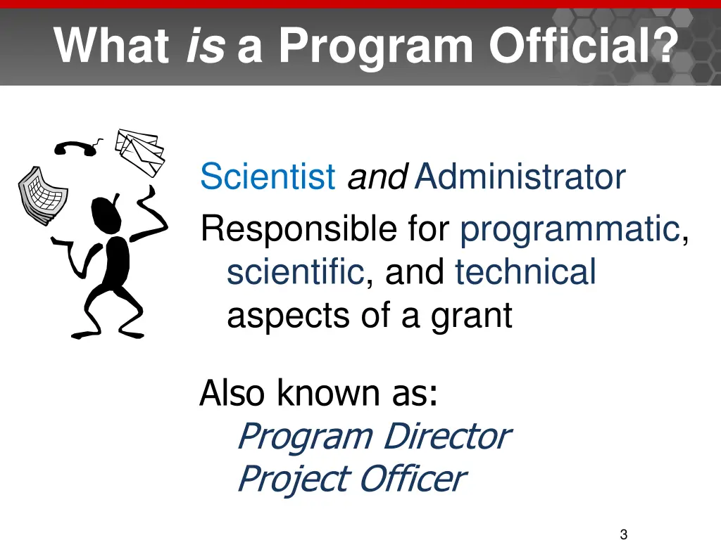 what is a program official