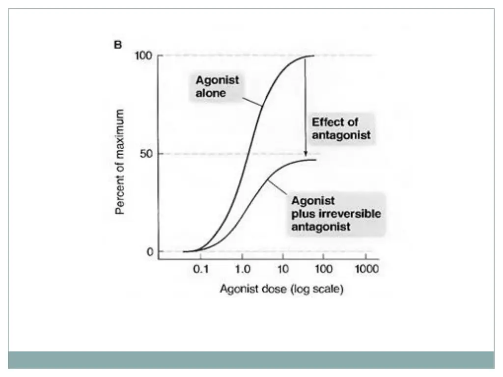 slide13