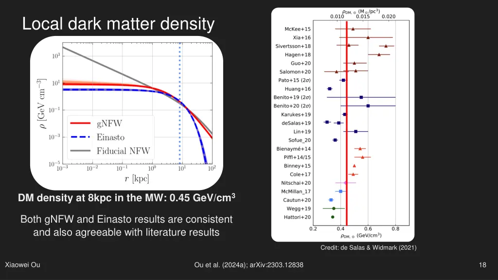 local dark matter density