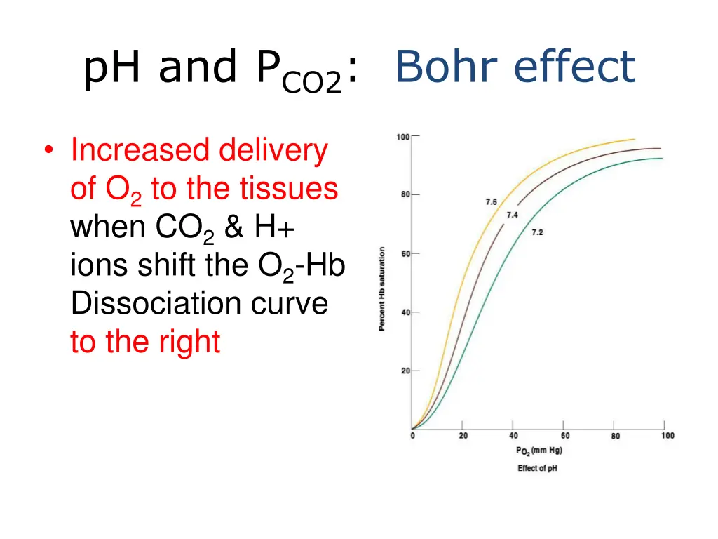 ph and p co2 bohr effect