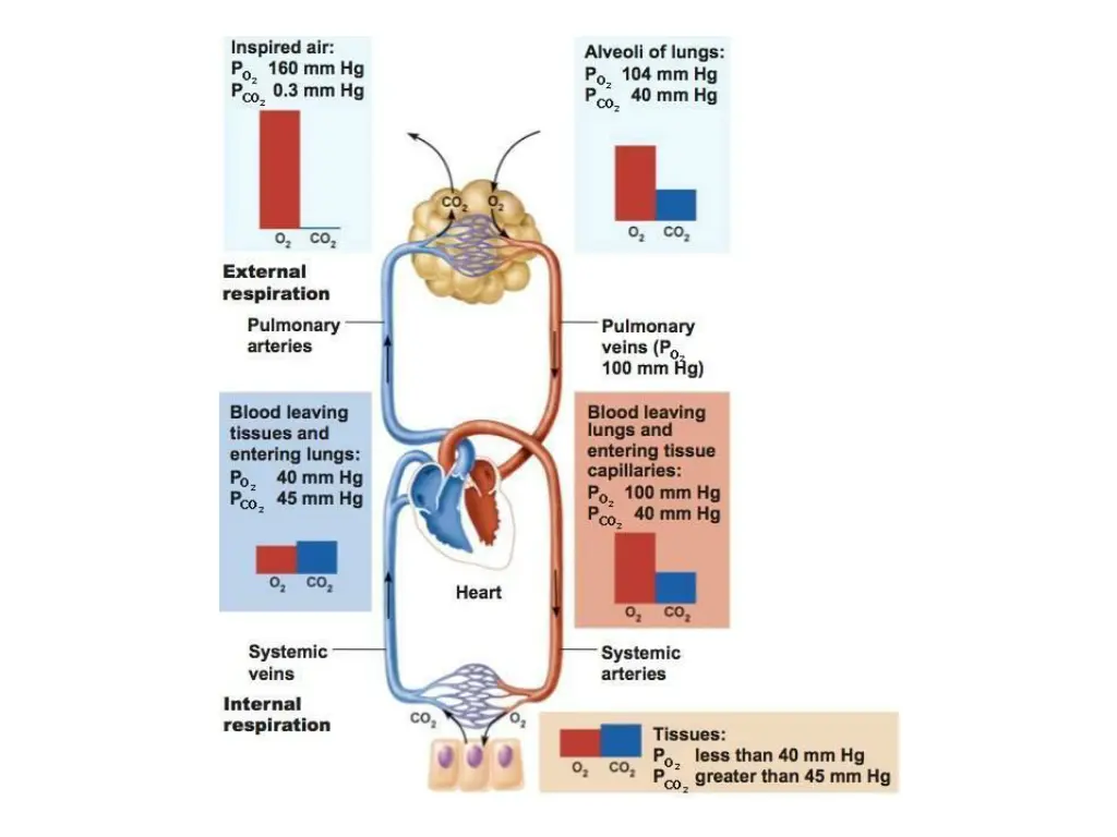 slide6