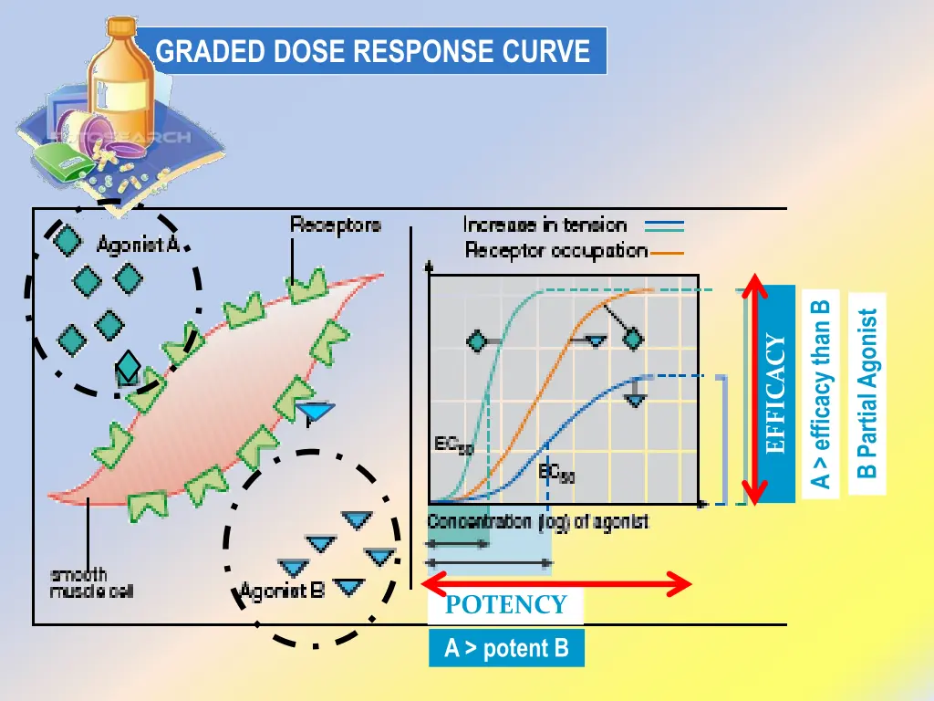 graded dose response curve 2